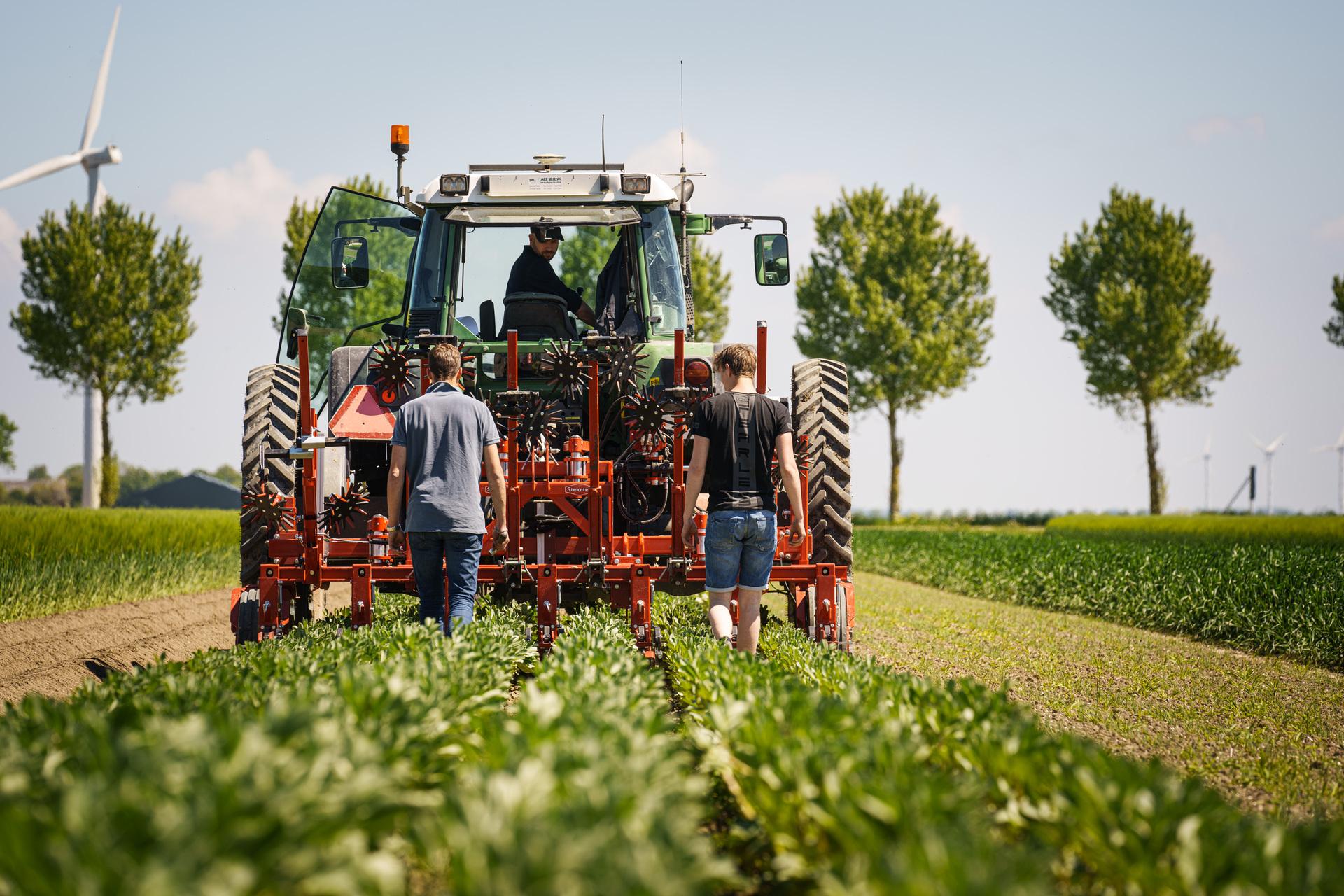 Werkzaamheden in het veld voor het Ministerie van LVVN
